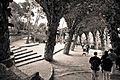 Barcelona - Park Güell