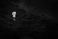 Dark, dark, dark