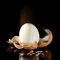 Eggspert