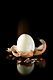 Eggspert
