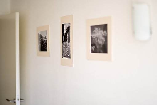 Mounted photos, Maynooth, 2009