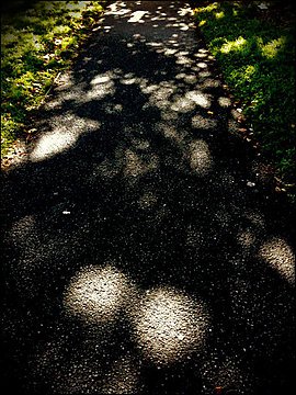 Light and Shadow, Maynooth, Ireland, 2010