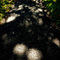 Light & Shadow (again)