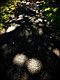 Light & Shadow (again)