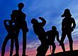 Silhouette Chouette