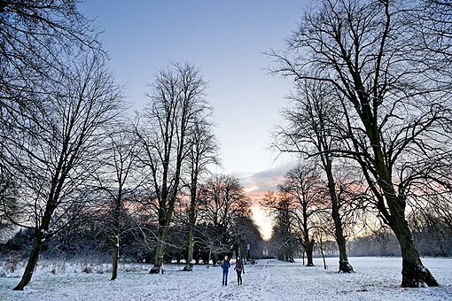 Snowy NUIM Campus, Maynooth, 2009