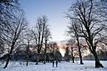 Snowy Campus