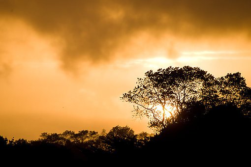 Maynoofrica, Maynooth, Ireland, 2010