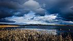 Swan Lake
