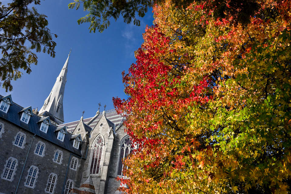 Autumn in Maynooth, Ireland, 2009