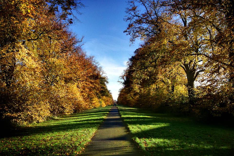 Carton Avenue, Maynooth, Ireland, 2010
