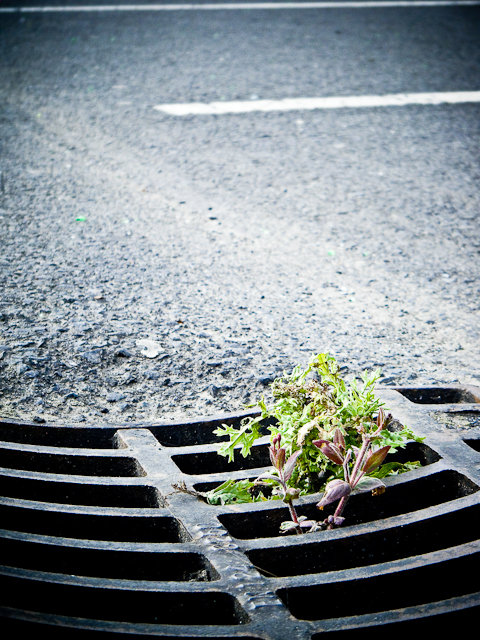 Concrete jungle, Maynooth, Ireland, 2009