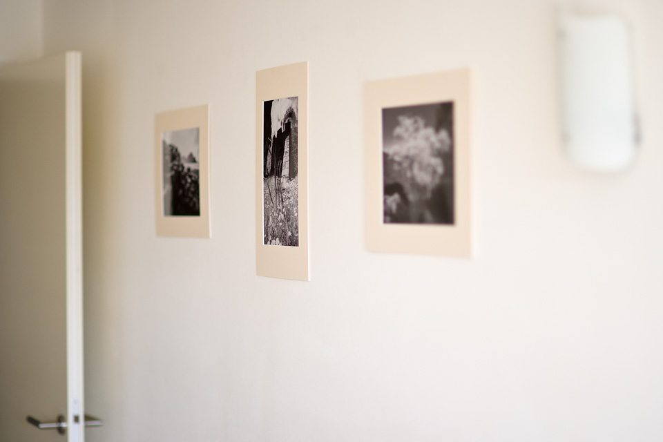Mounted photos, Maynooth, 2009