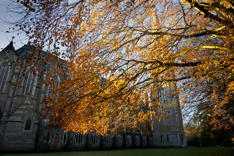 Autumn on the NUIM South Campus, Maynooth, 2010