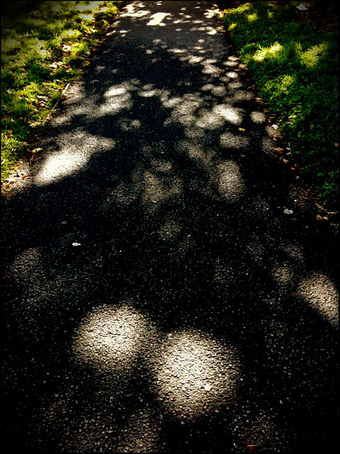 Light and Shadow, Maynooth, Ireland, 2010