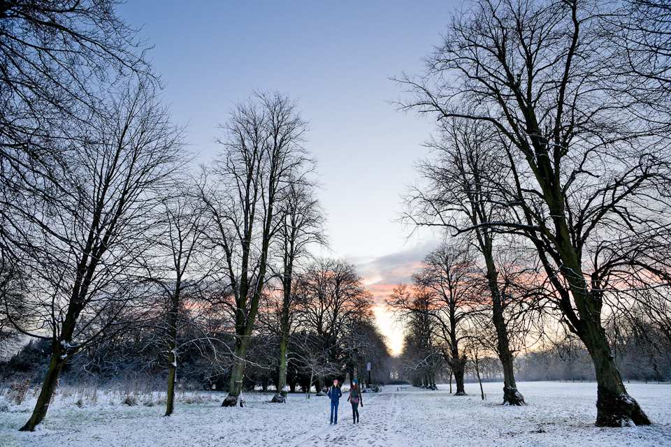 Snowy NUIM Campus, Maynooth, 2009